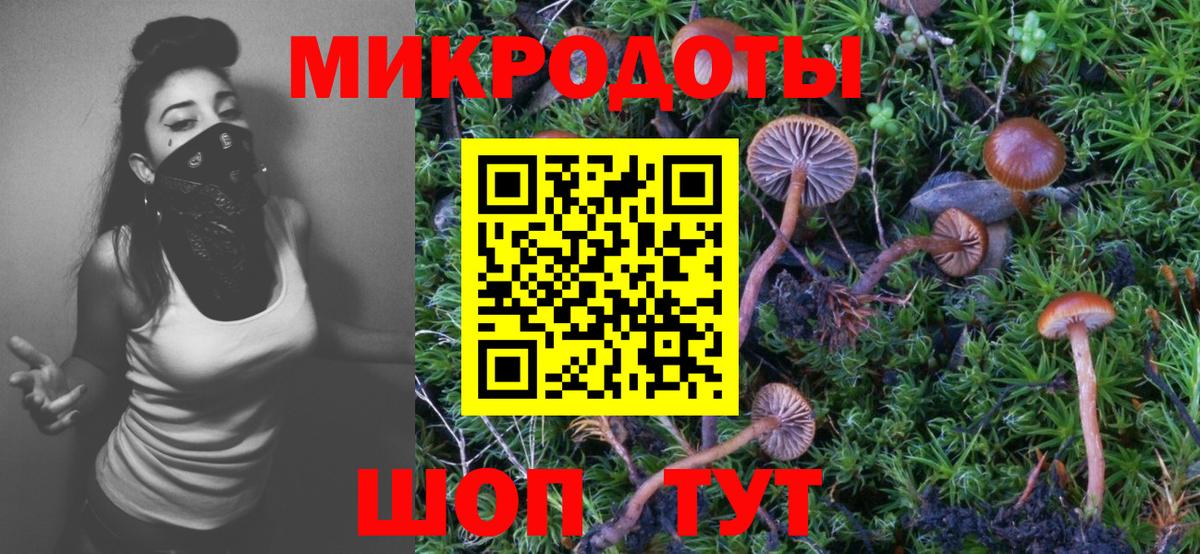 Галлюциногенные грибы прущие грибы Анжеро-Судженск