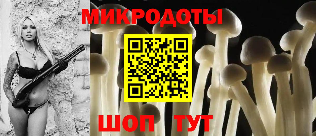 Псилоцибиновые грибы Magic Shrooms  Вход с VPN  Анжеро-Судженск 